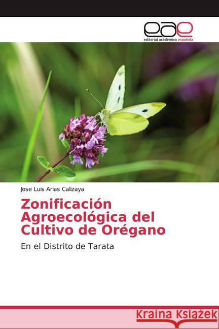 Zonificación Agroecológica del Cultivo de Orégano : En el Distrito de Tarata Arias Calizaya, Jose Luis 9783841768537 Editorial Académica Española - książka