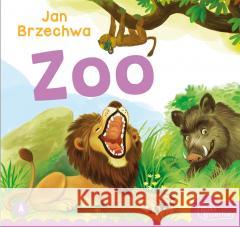 Zoo Jan Brzechwa 9788382073348 Skrzat - książka