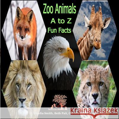 zoo Animals: A to Z Pait, Beth 9781522982777 Createspace Independent Publishing Platform - książka