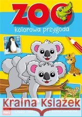 Zoo kolorowa przygoda z naklejkami Katarzyna Maćkowiak 9788368195293 Fiku Miku - książka