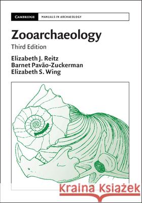 Zooarchaeology Elizabeth S. (Florida Museum of Natural History) Wing 9781108469210 Cambridge University Press - książka