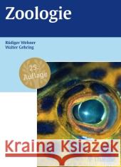 Zoologie Wehner, Rüdiger; Gehring, Walter 9783133674256 Thieme, Stuttgart - książka