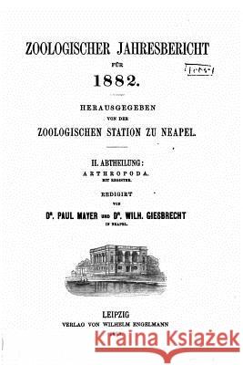 Zoologischer Jahresbericht fur 1882 Mayer, Paul 9781534715547 Createspace Independent Publishing Platform - książka