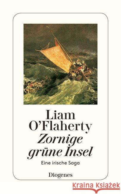 Zornige grüne Insel : Eine irische Saga O'Flaherty, Liam Roch, Herbert  9783257213300 Diogenes - książka