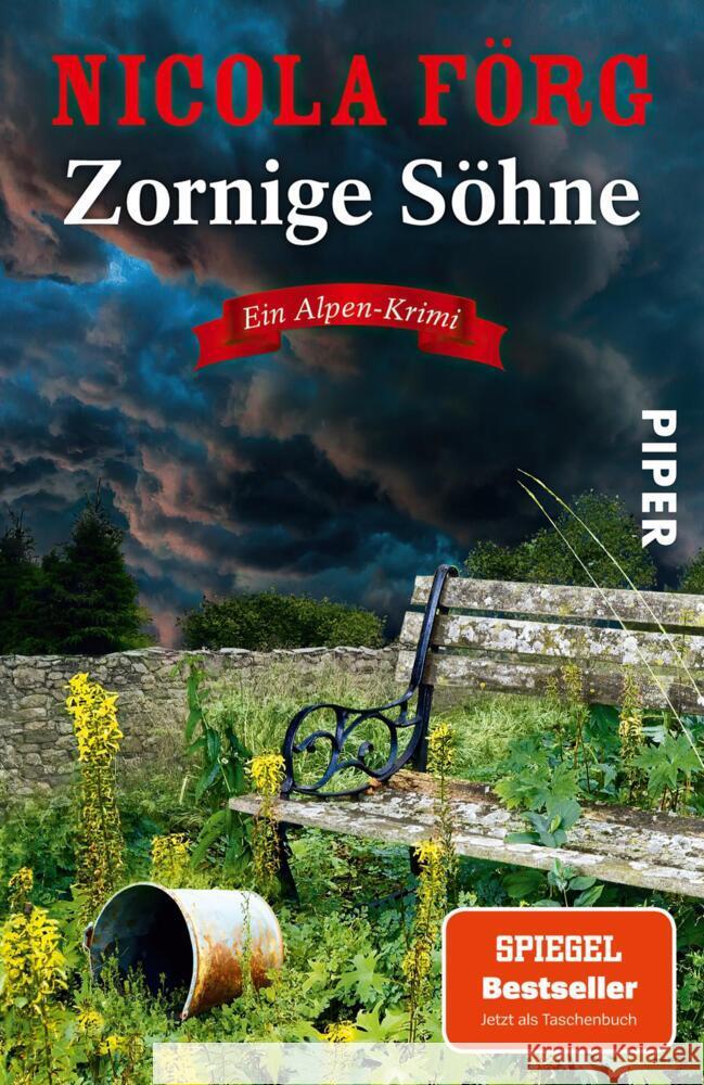 Zornige Söhne Förg, Nicola 9783492321457 Piper - książka