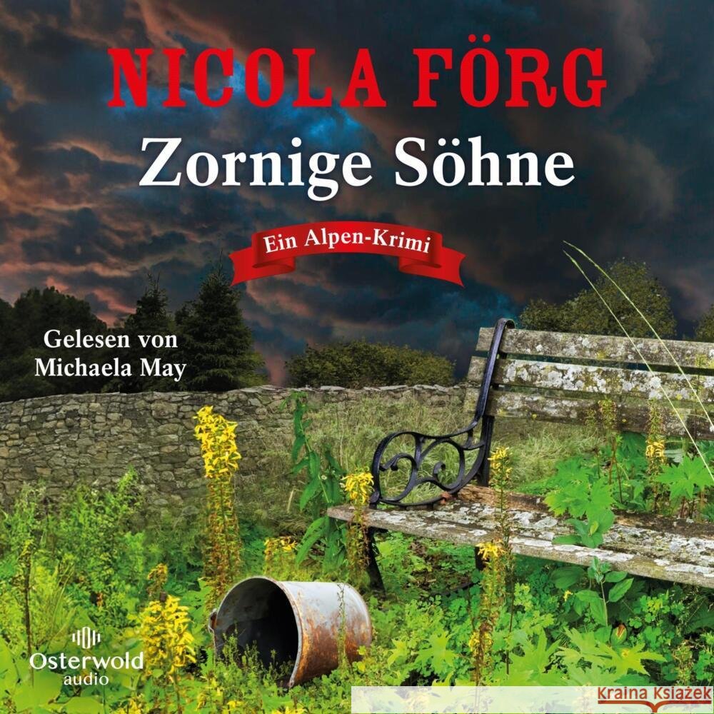 Zornige Söhne, 2 Audio-CD, 2 MP3 Förg, Nicola 9783869526041 OSTERWOLDaudio - książka