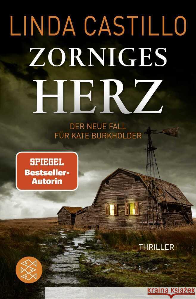 Zorniges Herz Castillo, Linda 9783596709854 FISCHER Taschenbuch - książka