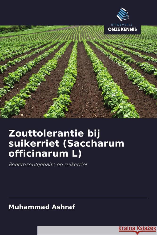 Zouttolerantie bij suikerriet (Saccharum officinarum L) Ashraf, Muhammad 9786203297461 Uitgeverij Onze Kennis - książka