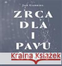 Zrcadla a pavučiny Jan Gabriel 9788075303813 Malvern - książka