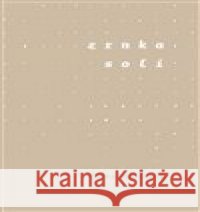 Zrnka soli Šárka Bubíková 9788074653322 Pavel Mervart - książka