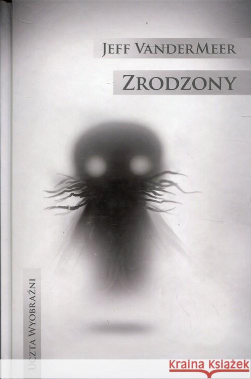 Zrodzony Vandermeer Jeff 9788374809238 Mag - książka