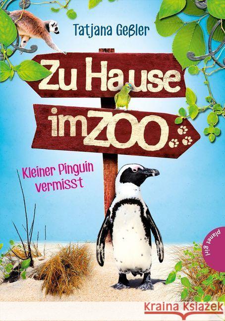 Zu Hause im Zoo - Kleiner Pinguin vermisst Geßler, Tatjana 9783522504454 Planet Girl - książka