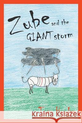 Zube and the Giant Storm Tom Hooke 9781789557855 New Generation Publishing - książka