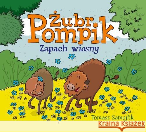 Żubr Pompik. Zapach wiosny Samojlik Tomasz 9788380081673 Media Rodzina - książka