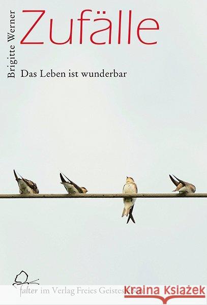 Zufälle : Das Leben ist wunderbar Werner, Brigitte 9783772525452 Freies Geistesleben - książka