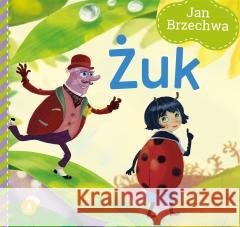 Żuk Jan Brzechwa 9788382072716 Skrzat - książka