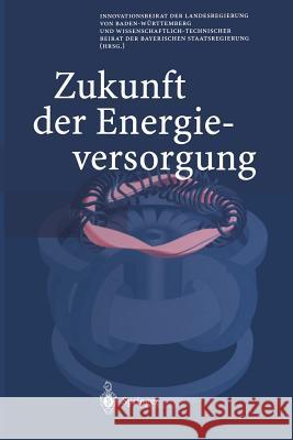 Zukunft Der Energieversorgung Innovationsbeirat Der Landesregierung Vo 9783642521591 Springer - książka