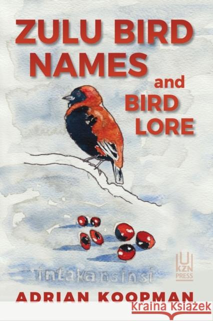 Zulu Bird Names and Bird Lore Adrian Koopman   9781869144258 University of KwaZulu-Natal Press - książka