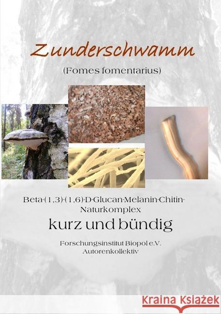 Zunderschwamm Beta-(1,3)-(1-6)-D-Glucan-Melanin-Chitin-Naturkomplex kurz und bündig : Zunderschwamm kurz und bündig Rühle, Wilfried 9783745067033 epubli - książka