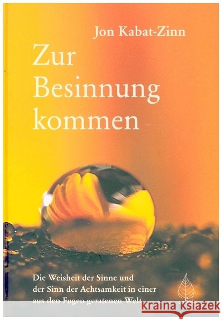 Zur Besinnung kommen Kabat-Zinn, Jon 9783867812467 Arbor-Verlag - książka