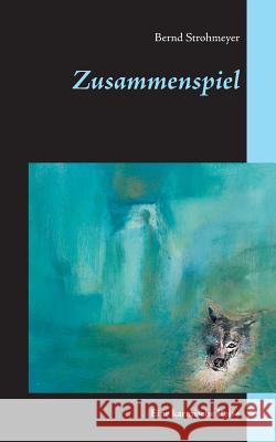 Zusammenspiel: Eine karmische Reise Strohmeyer, Bernd 9783743187733 Books on Demand - książka