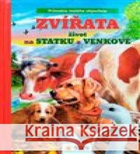 Zvířata  9788075675644 Sun - książka
