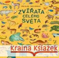 Zvířata celého světa Febe Sillani 9788025514733 Rebo - książka