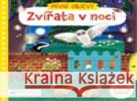 Zvířata v noci Jenny Wren 9788025620564 Svojtka - książka