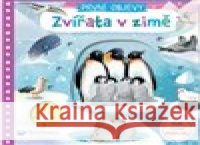 Zvířata v zimě Jenny Wren 9788025624159 Svojtka - książka