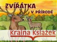 Zvířátka v přírodě Zuzana Kyršová 9788027760022 Drobek - książka