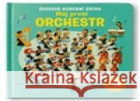 Zvuková hudební kniha Můj první orchestr Sam Taplin 9788025639696 Svojtka & Co. - książka