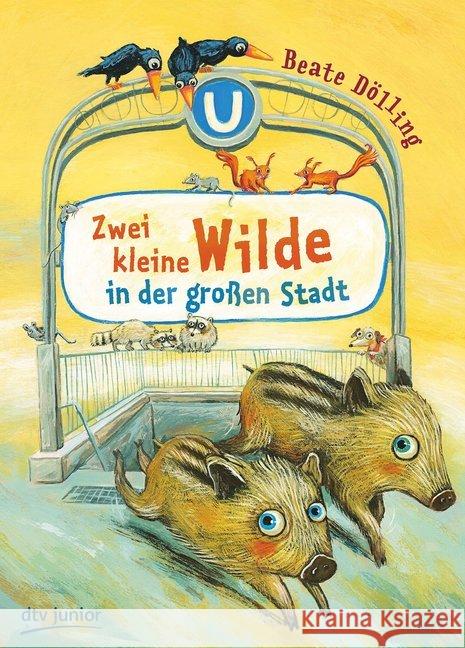 Zwei kleine Wilde in der großen Stadt Dölling, Beate 9783423762434 DTV - książka