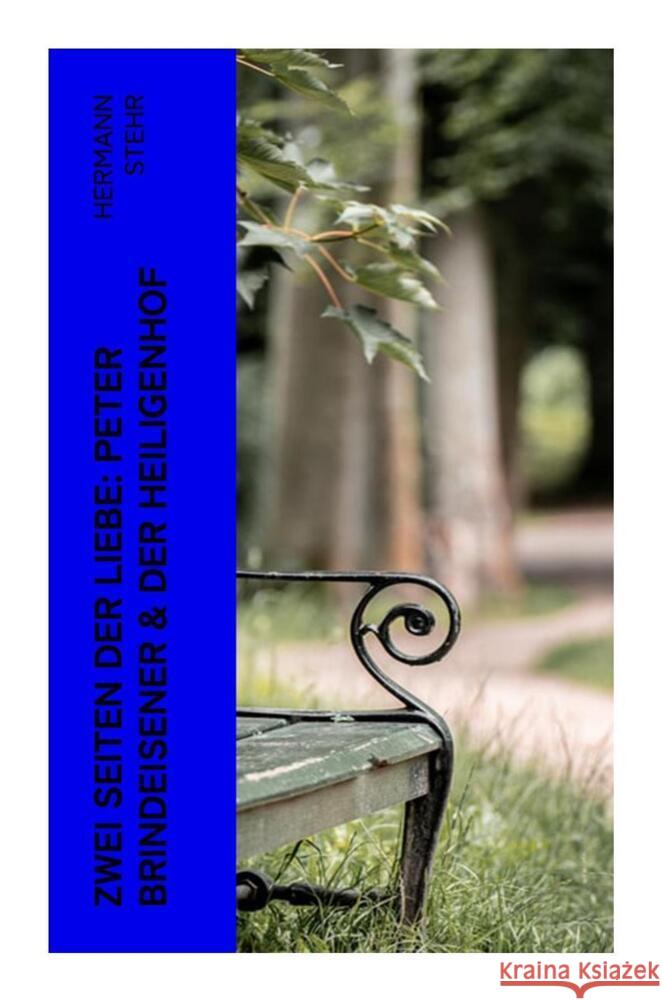 Zwei Seiten der Liebe: Peter Brindeisener & Der Heiligenhof Stehr, Hermann 9788027355549 e-artnow - książka