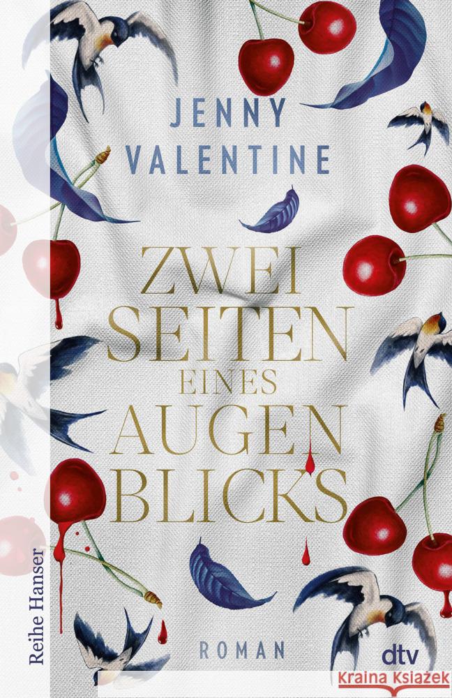 Zwei Seiten eines Augenblicks Valentine, Jenny 9783423650465 DTV - książka