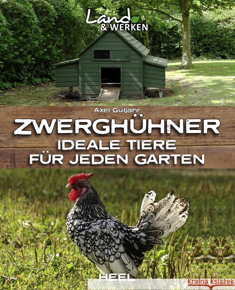 Zwerghühner Gutjahr, Axel 9783966641296 Heel Verlag - książka