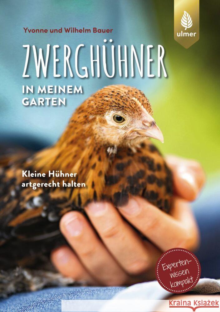 Zwerghühner in meinem Garten Bauer, Wilhelm, Bauer, Yvonne 9783818611736 Verlag Eugen Ulmer - książka