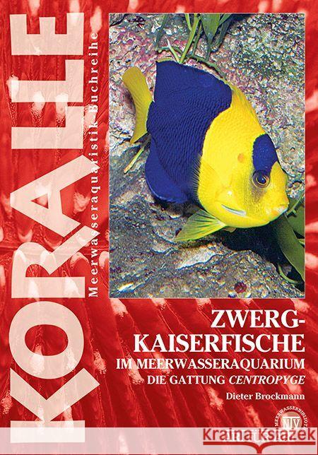 Zwergkaiserfische im Meerwasseraquarium Brockmann, Dieter 9783866595187 Natur und Tier-Verlag - książka