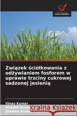 Zwiazek sciólkowania z odzywianiem fosforem w uprawie trzciny cukrowej sadzonej jesienia Kumar, Vinay, Kumar, Mukesh, Kushwah, Jitendra Kumar 9786209121104 Wydawnictwo Nasza Wiedza - książka