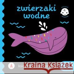 Zwierzaki wodne. Książeczka kontrastowa Wydawnictwo Skrzat 9788382076561 Skrzat - książka