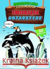 Zwierzęta Antarktydy z naklejkami. Kolorowanka edu Hubert Włodarczyk 9788367322928 Martel - książka