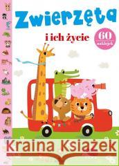 Zwierzęta i ich życie Monika Matusiak 9788380386716 Arystoteles - książka