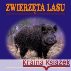 Zwierzęta lasu harmonijka  9788387368982 G&P - książka