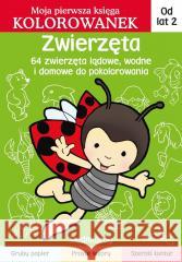 Zwierzęta. Moja pierwsza księga kolorowanek Jarosław Żukowski 9788382799743 Siedmioróg - książka