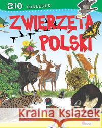 Zwierzęta Polski Dzwonkowski Robert 9788372505026 AWM Agencja Wydawnicza - książka