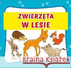 Zwierzęta w lesie praca zbiorowa 9788382603224 LITERAT - książka