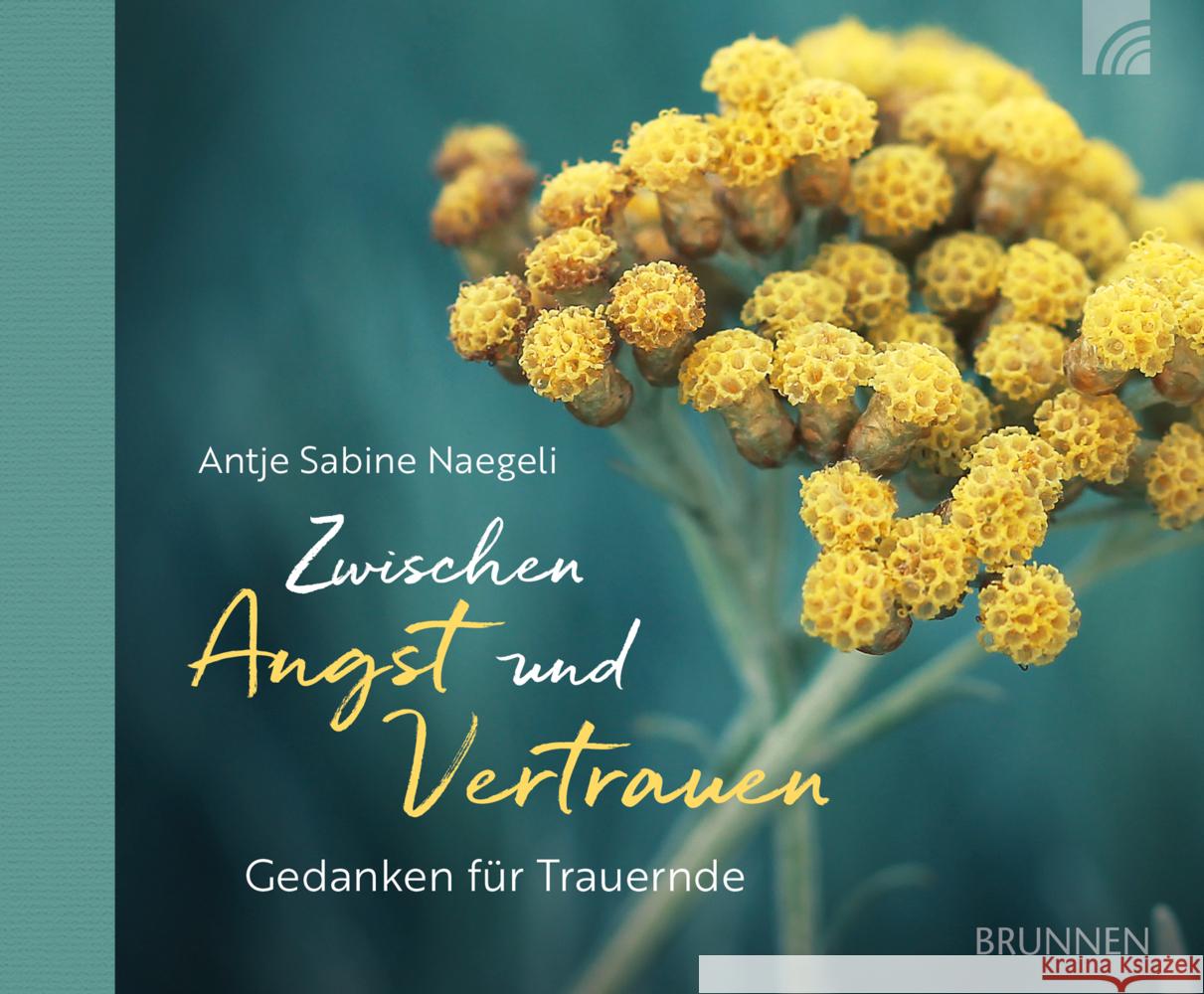 Zwischen Angst und Vertrauen Naegeli, Antje Sabine 9783765532955 Brunnen - książka