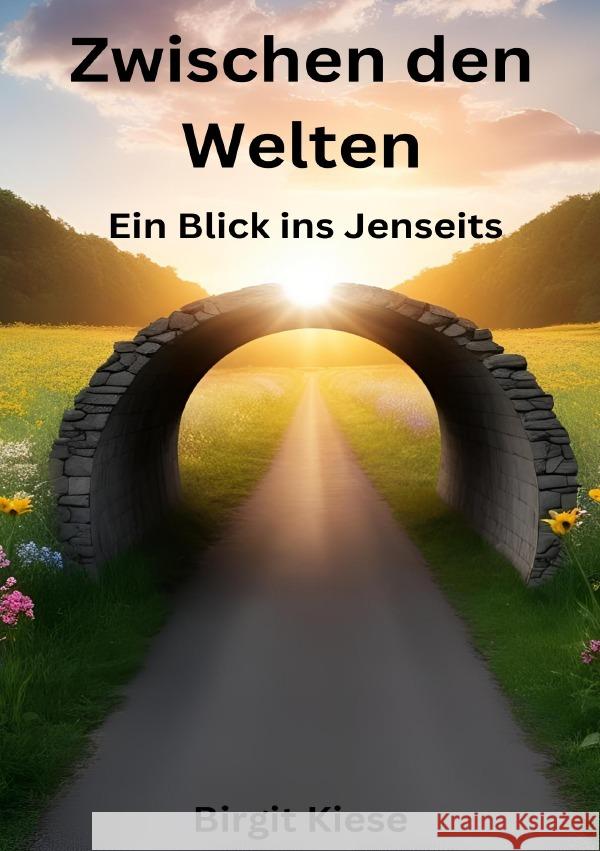 Zwischen den Welten: Ein Blick ins Jenseits Kiese, Birgit 9783819055454 epubli - książka