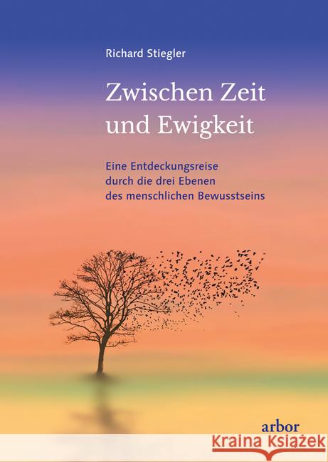 Zwischen Zeit und Ewigkeit Stiegler, Richard 9783867813624 Arbor-Verlag - książka