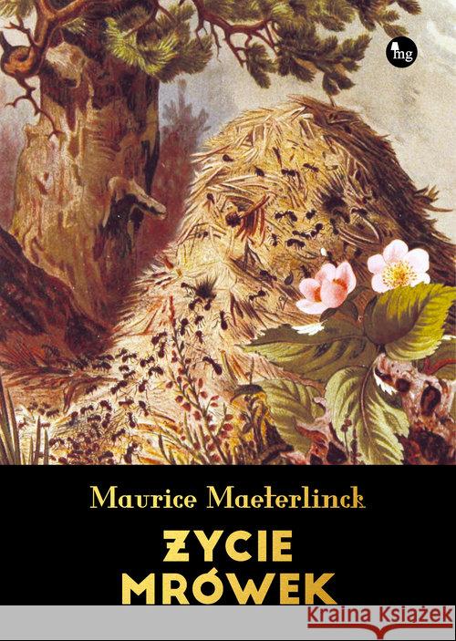 Życie mrówek Maeterlinck Maurice 9788377794692 MG - książka