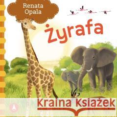 Żyrafa Renata Opala 9788382079326 Skrzat - książka